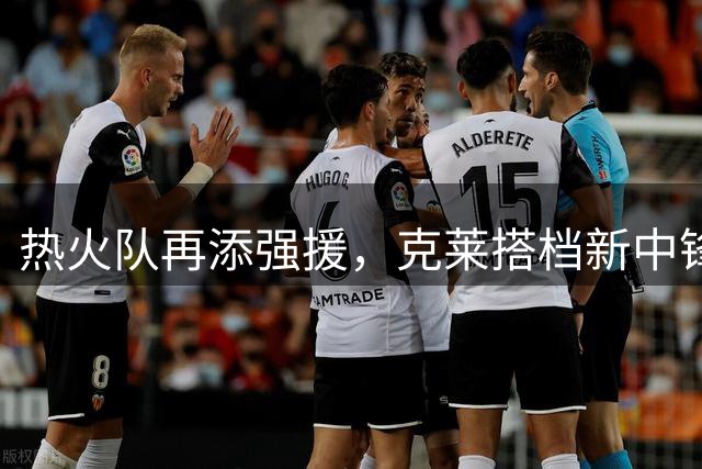 热火队再添强援，克莱搭档新中锋加盟